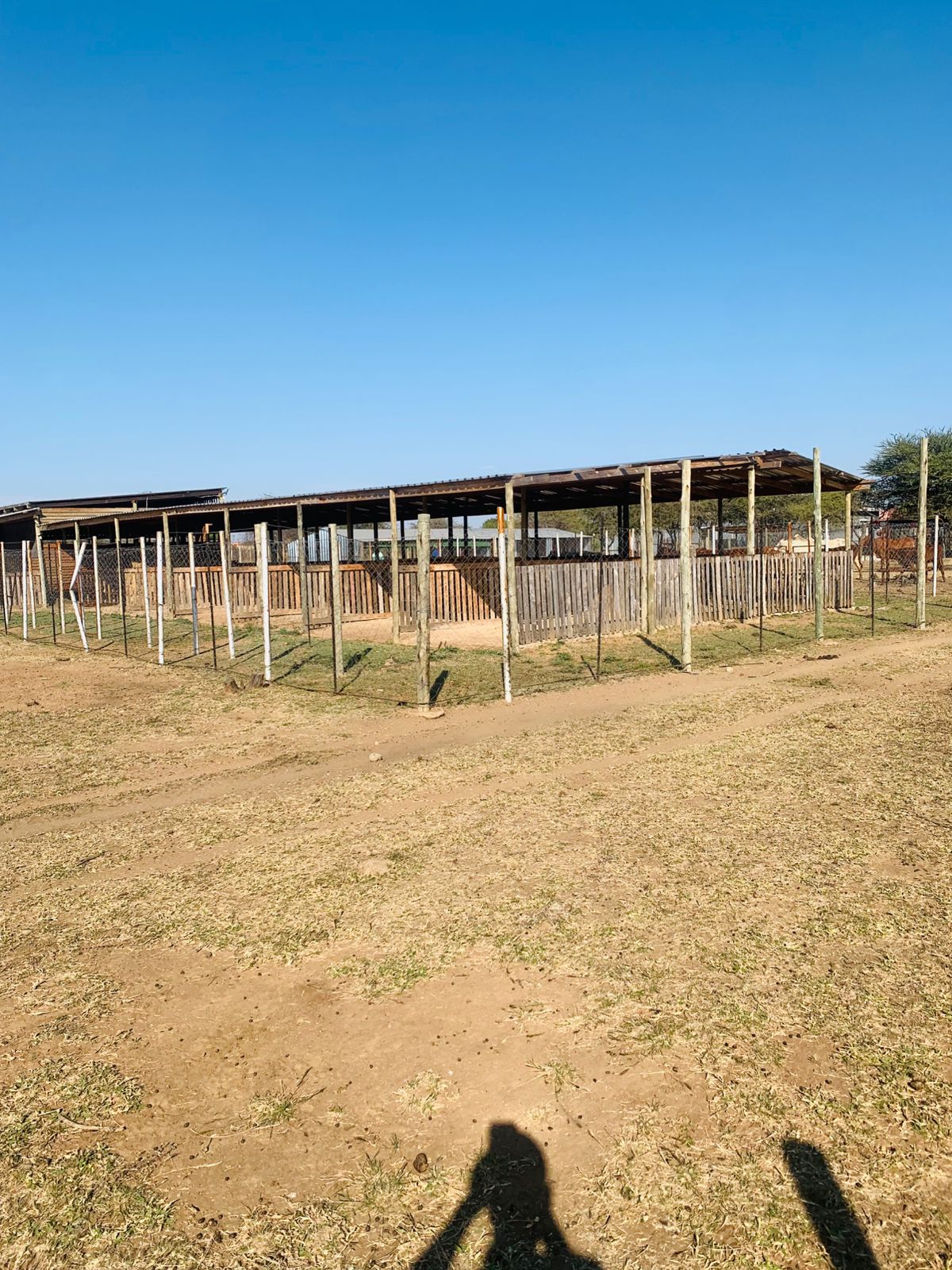 Agricultural Extension